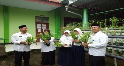 Panen Perdana Sayur Hidroponik Tim Adiwiyata MTsN 11 Jombang